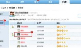 qq群吃网红瓜密码,探寻网络社交背后的秘密